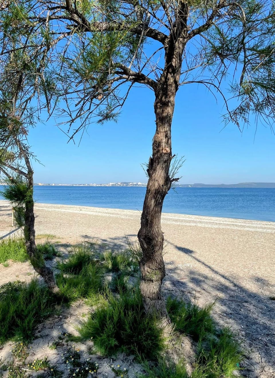 Nearby landmark, Day, Beach