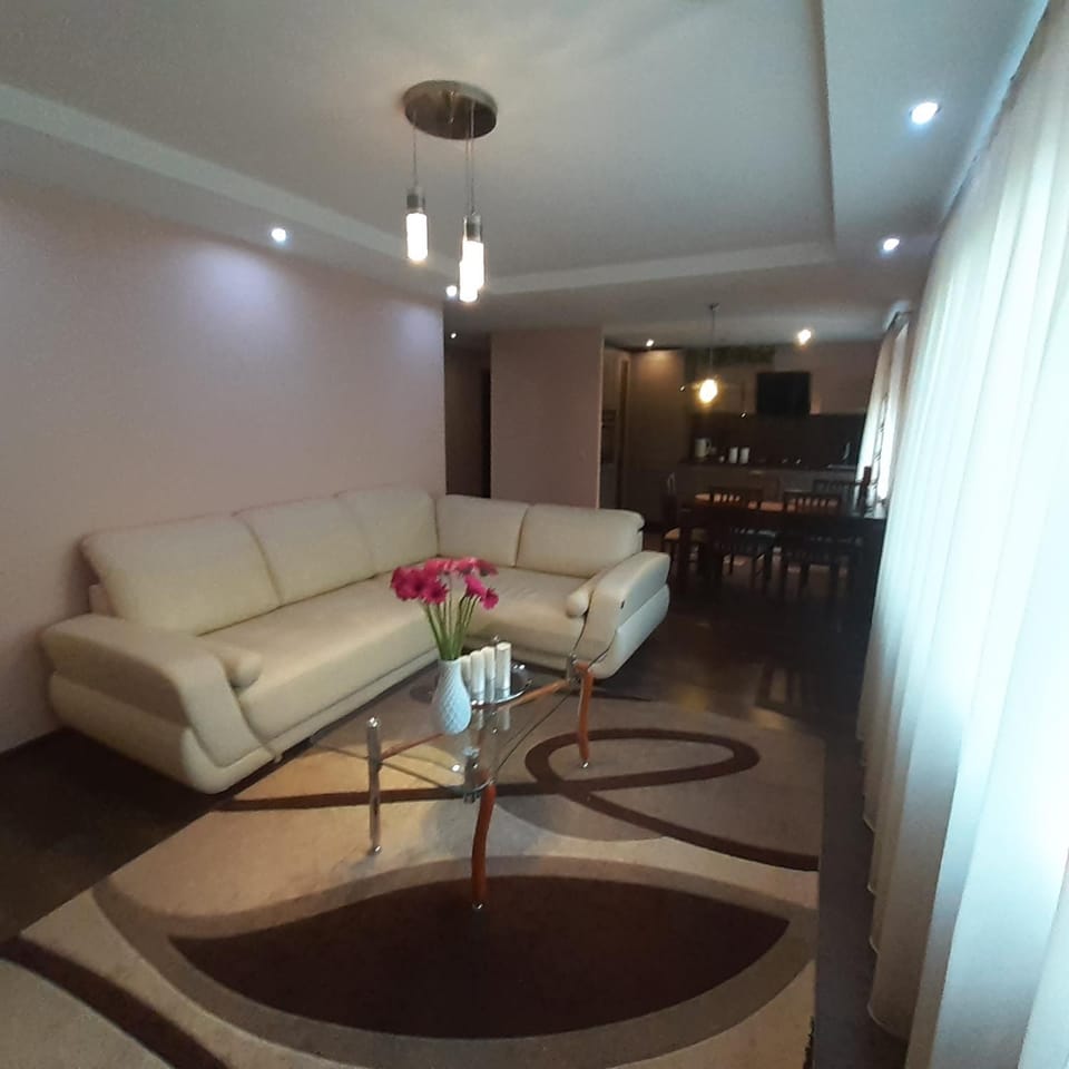 Jaukus butas Druskininkuose Apartment in Lithuania