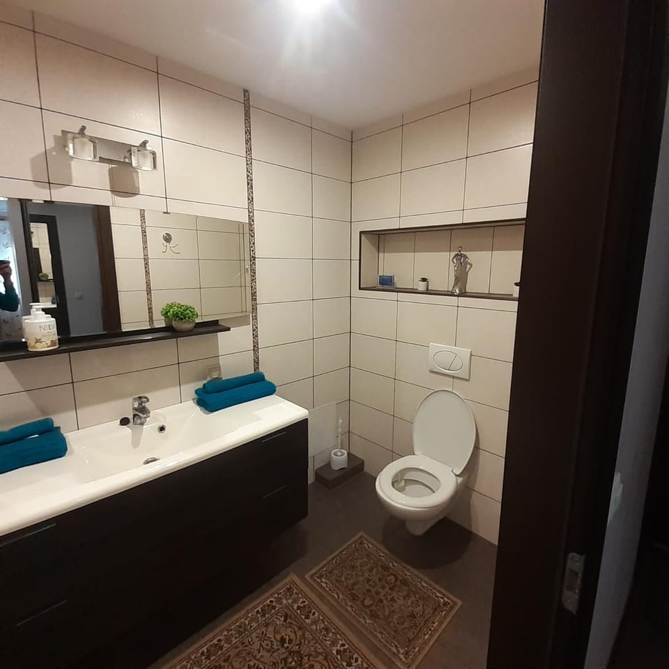 Jaukus butas Druskininkuose Apartment in Lithuania