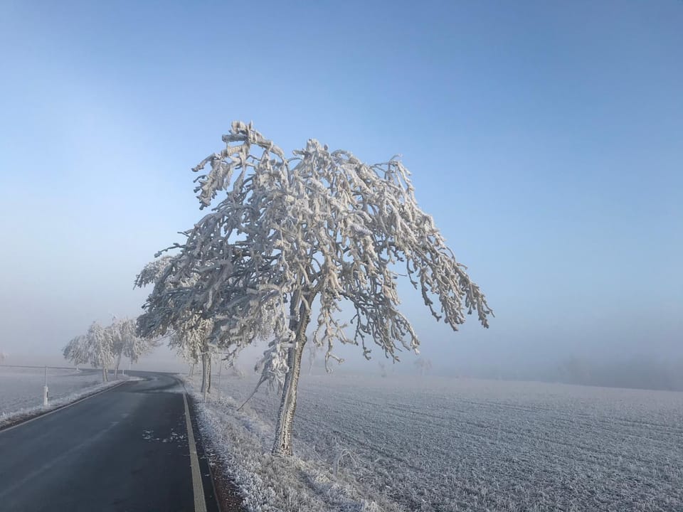 Natural landscape, Winter, Hiking