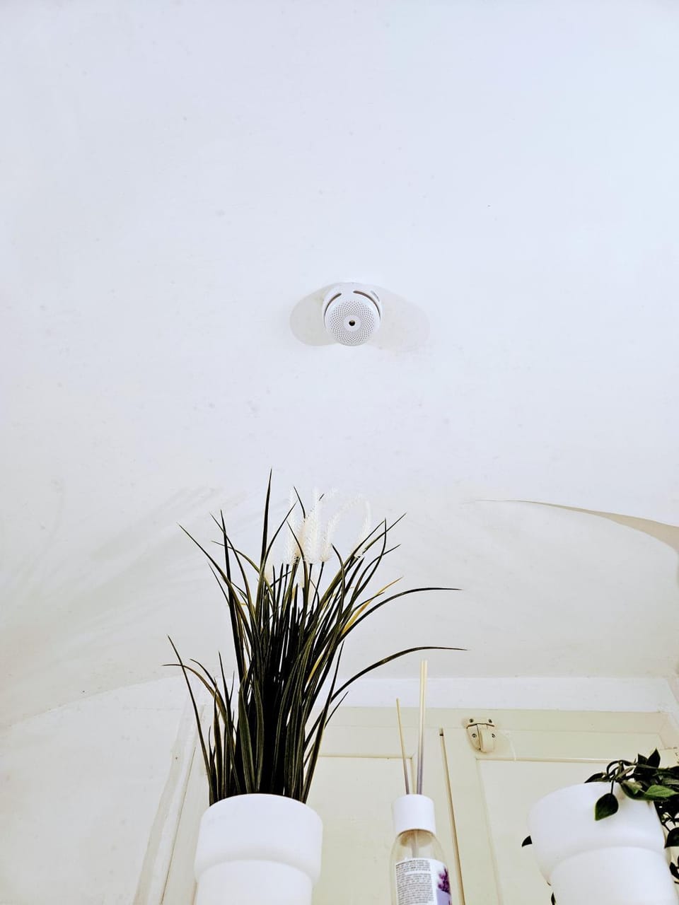 Suite SAN GENNARO BIS House in Naples