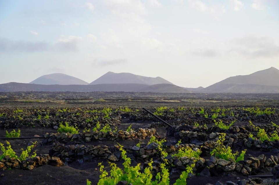 Natural landscape, Hiking, Mountain view
