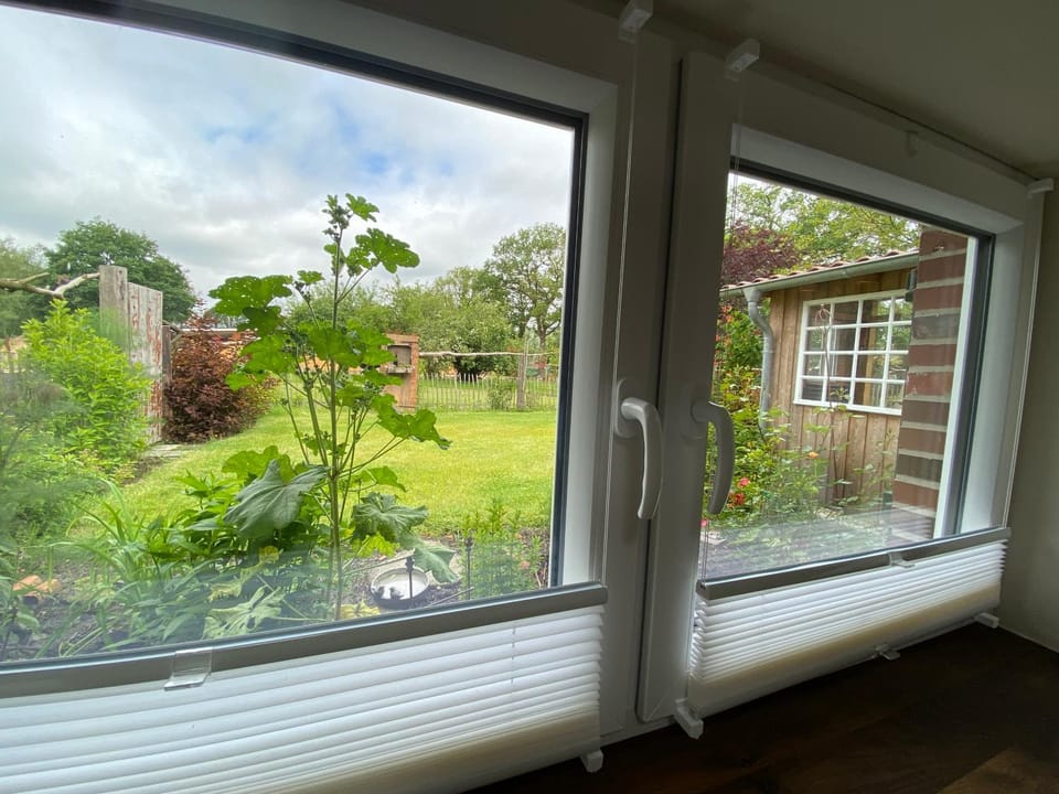 Spring, Garden, View (from property/room), Garden view
