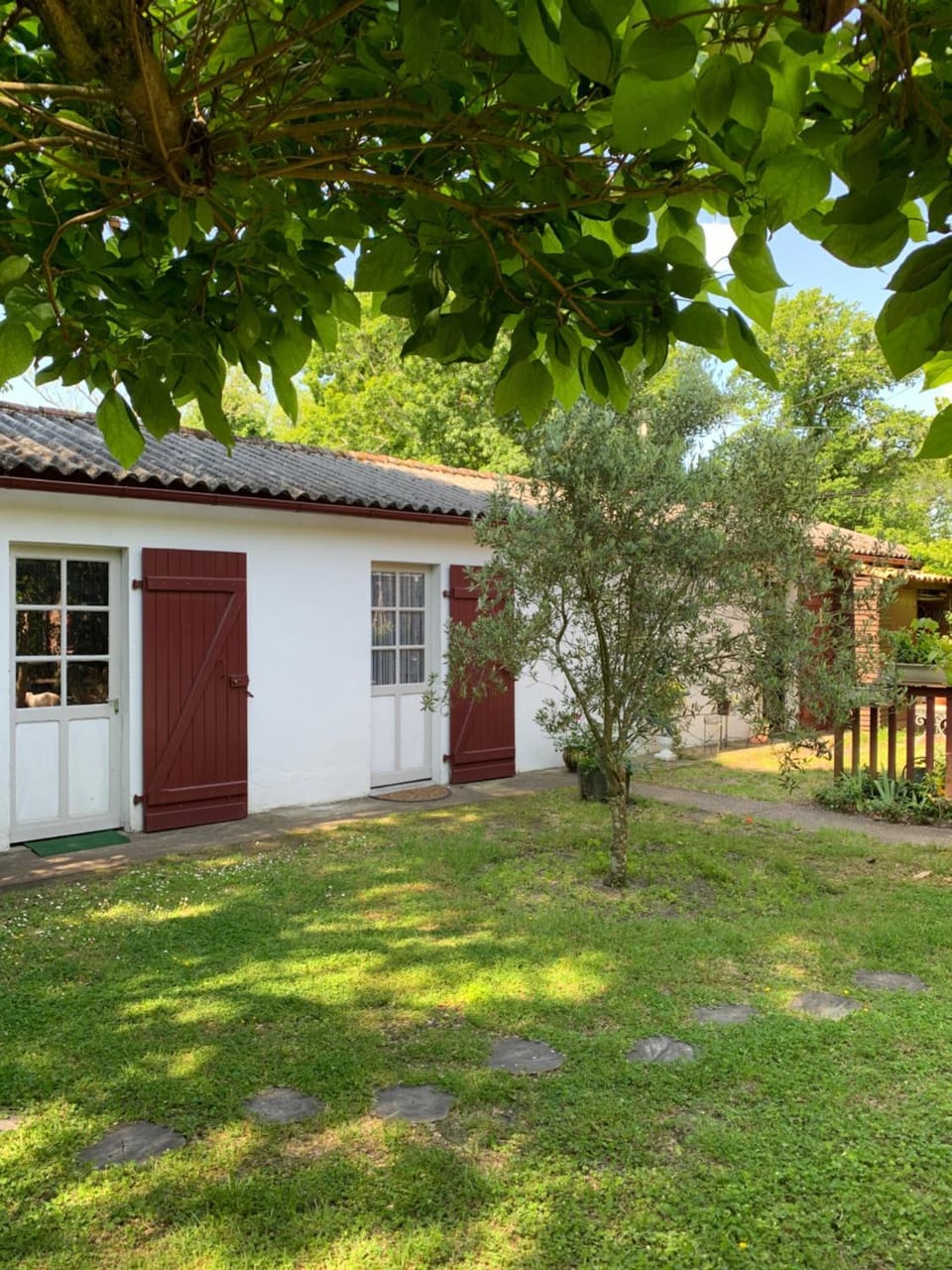 Garden view