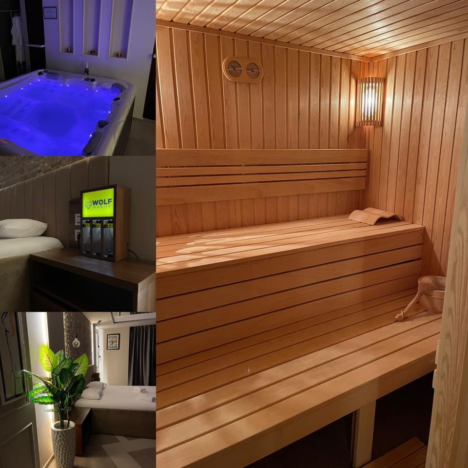 Spa Pleasure Apartman Apartment in Novi Sad