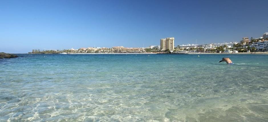 LAS VISTAS APARTMENT, OCEAN VIEW, 2 BEDROOMS & FREE WIFI House in Playa de las Americas