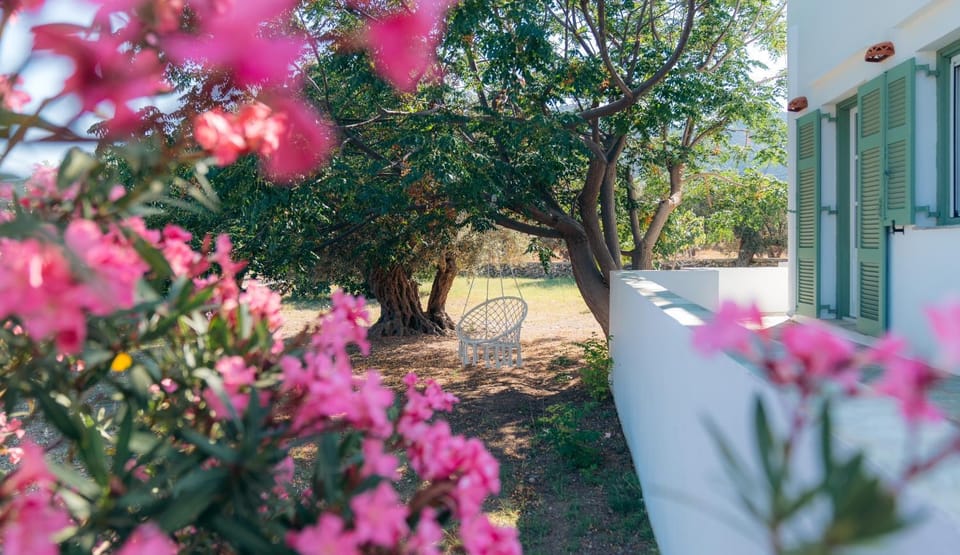 Day, Garden, Garden view