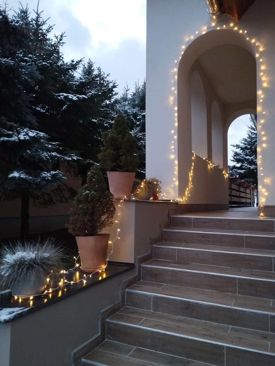 Property building, Garden view