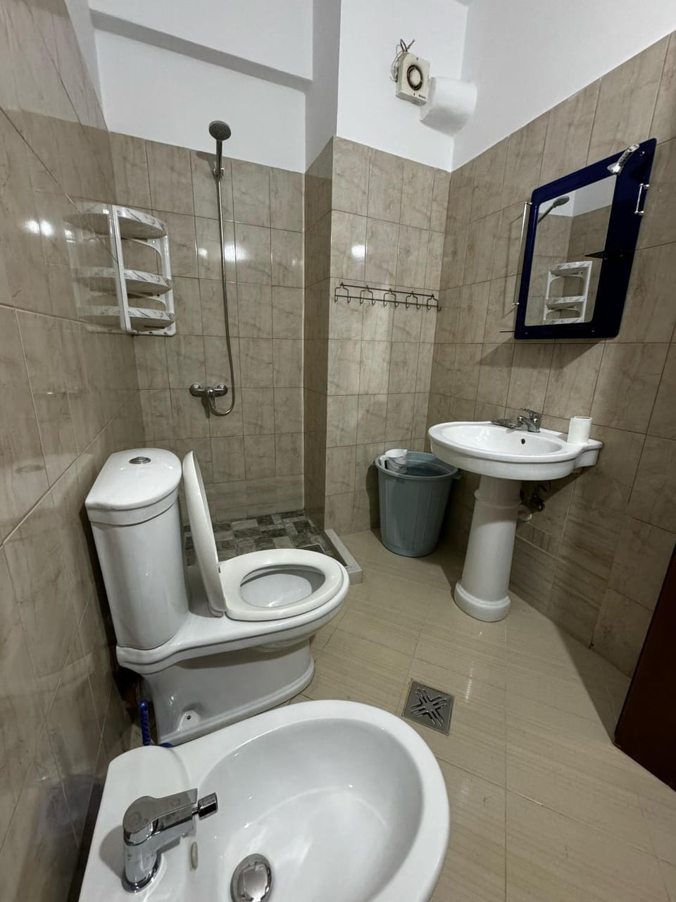 Shower, Toilet, Bathroom, bidet