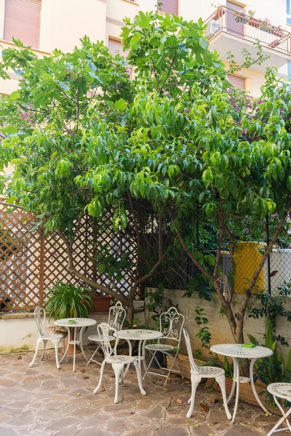Garden view