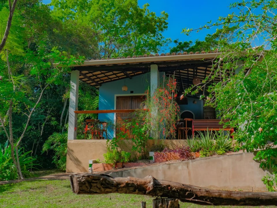 Property building, Garden view