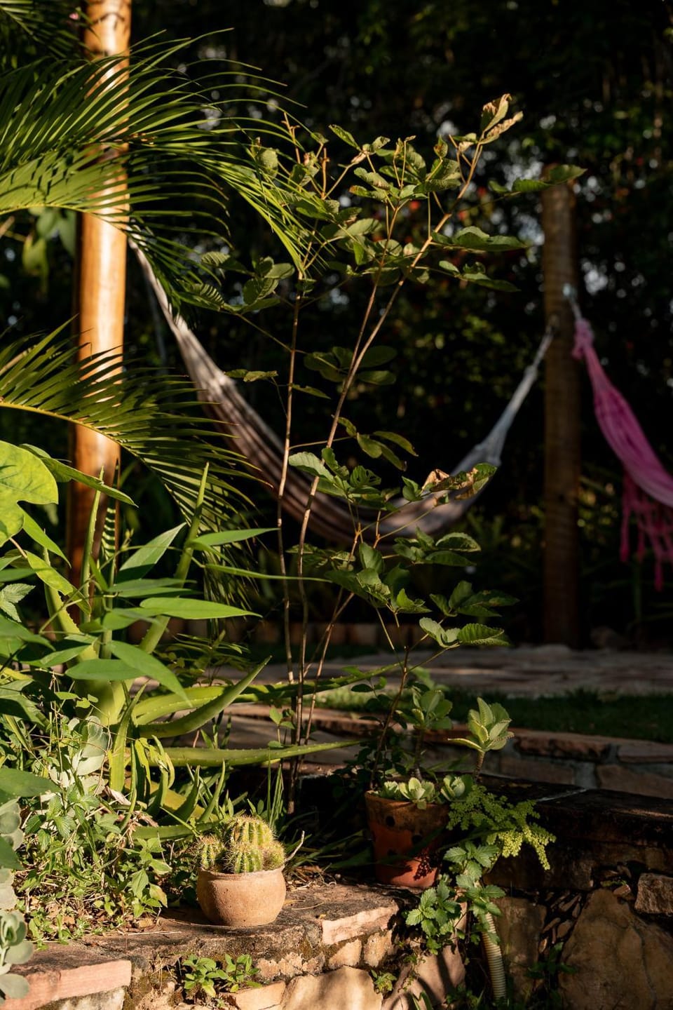 Natural landscape, Garden