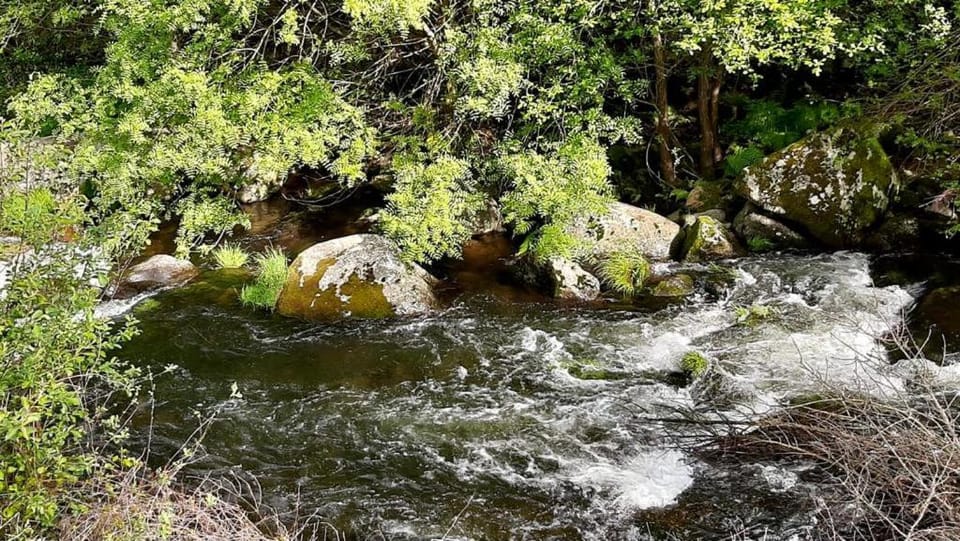 Natural landscape