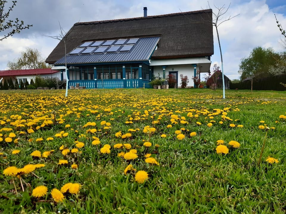 Property building, Garden