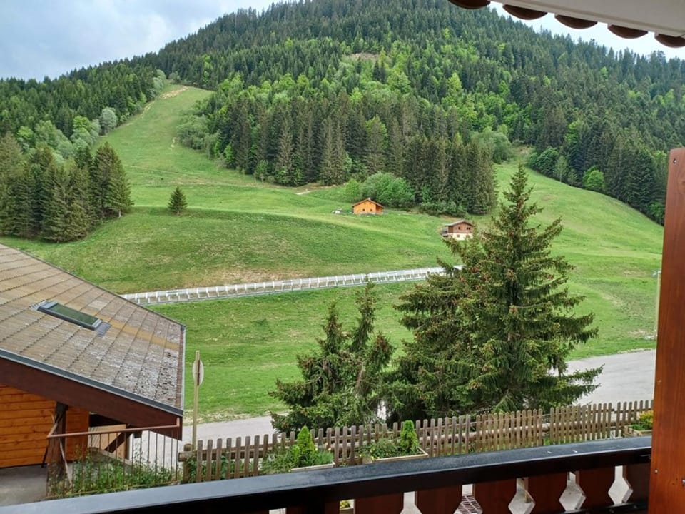 Appartement 2 pièces avec balcon, 4 couchages et parking - FR-1-573-68 Apartment in Haute-Savoie