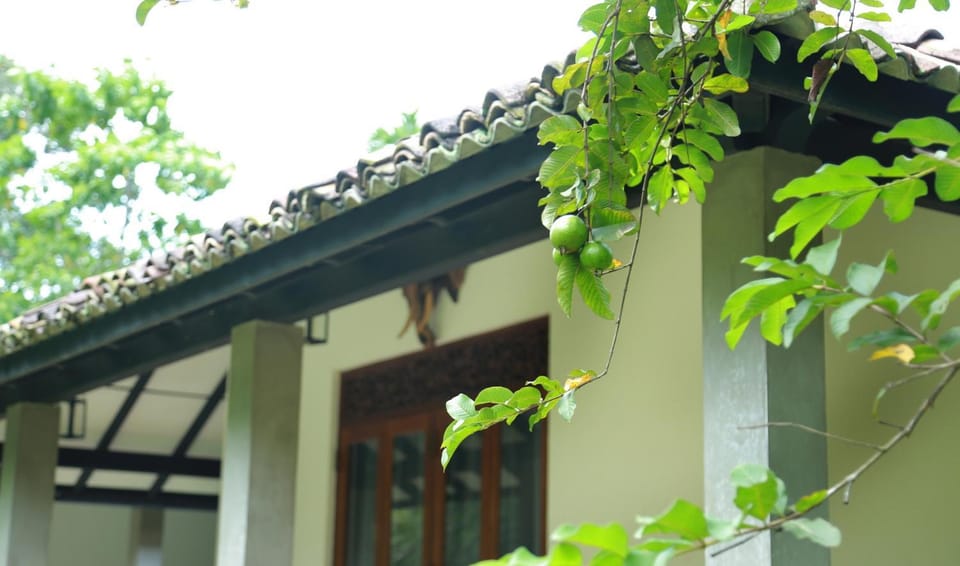 Villa Irabatu Villa in Galle