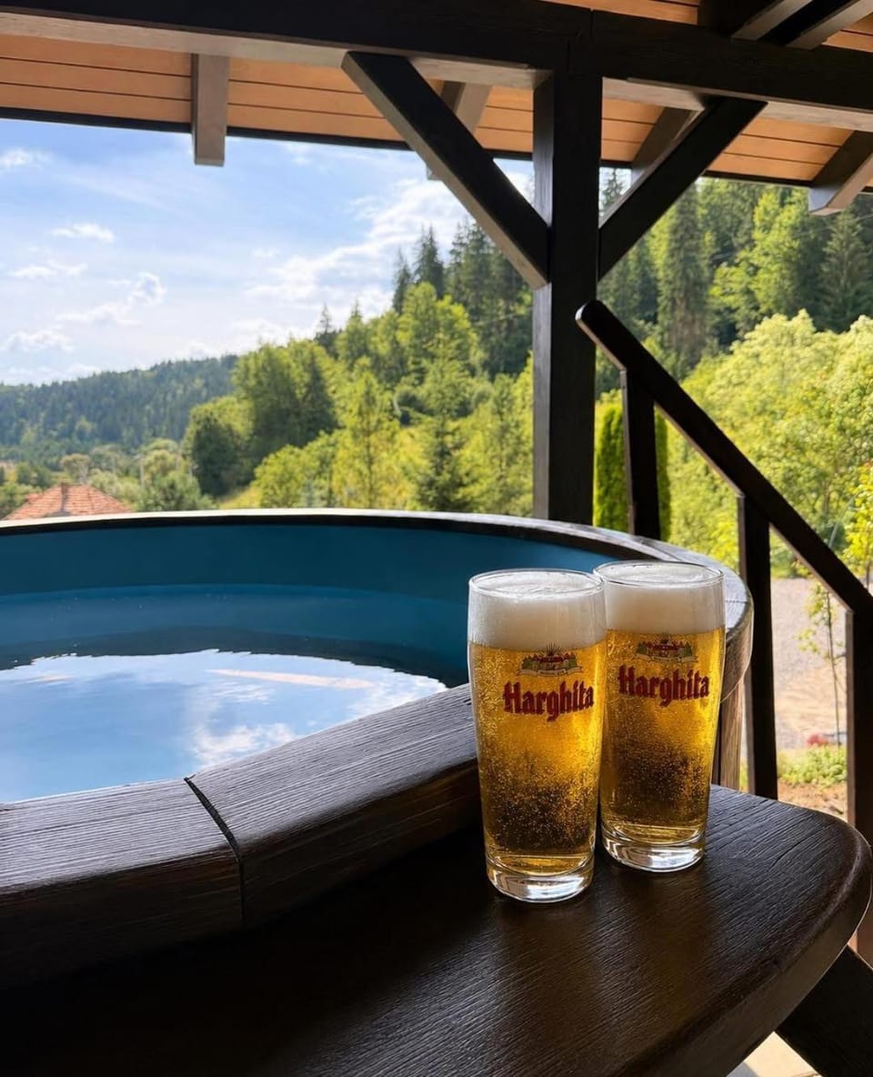 Cabana Transylwonder House in Romania