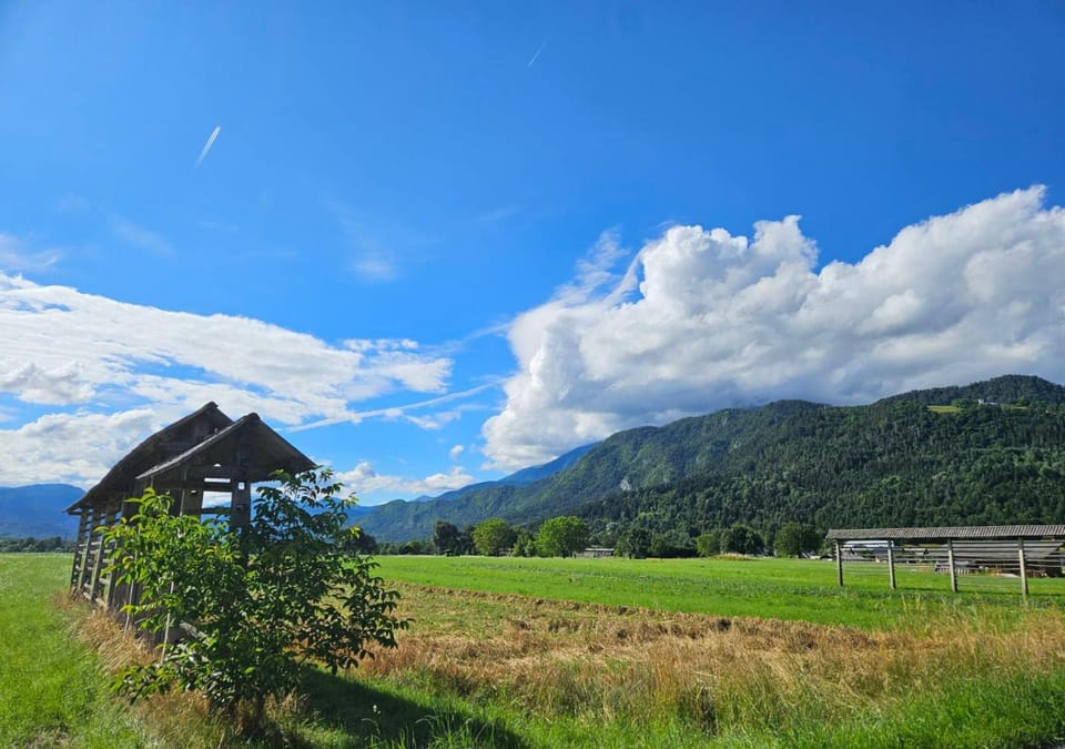 Natural landscape