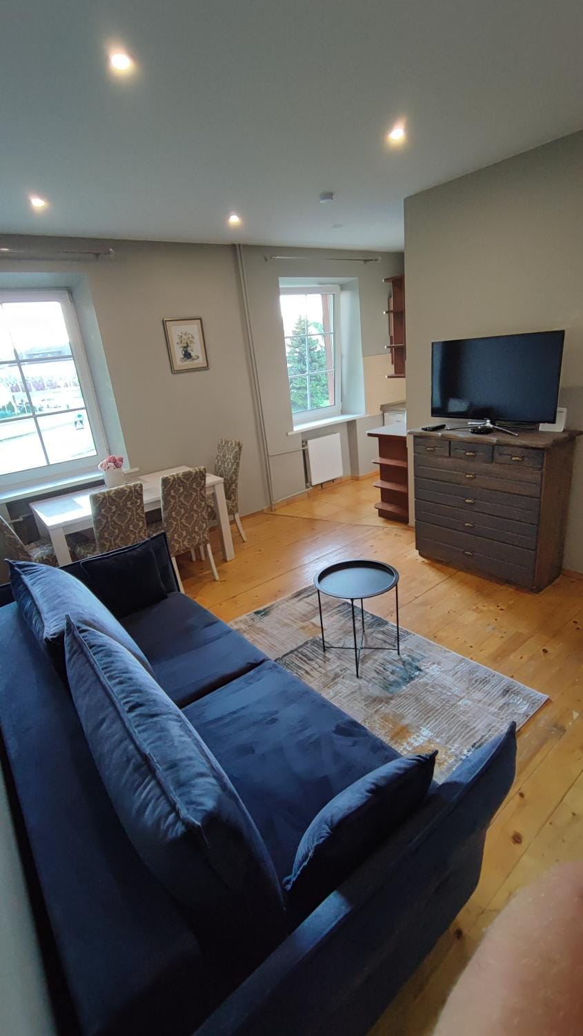 Dviejų kambarių apartamentai Klaipėdos centre Apartment in Klaipėda