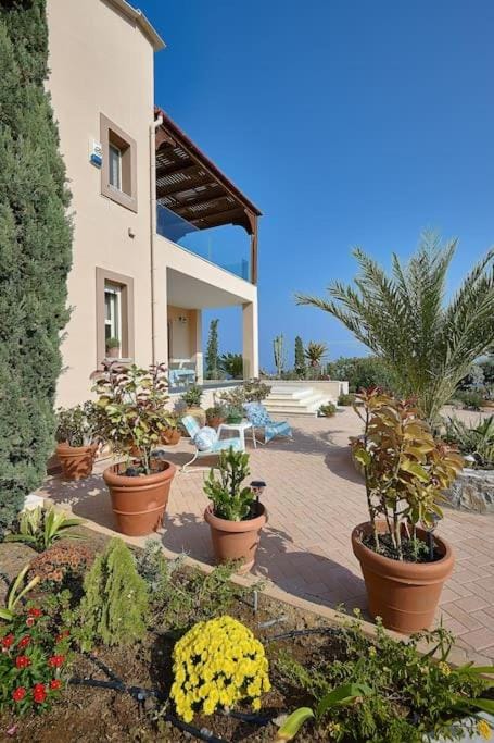 Property building, Patio, Garden, Garden