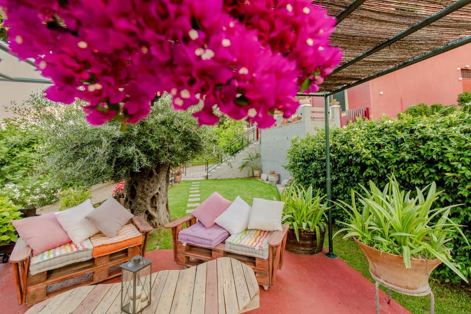Patio, Garden