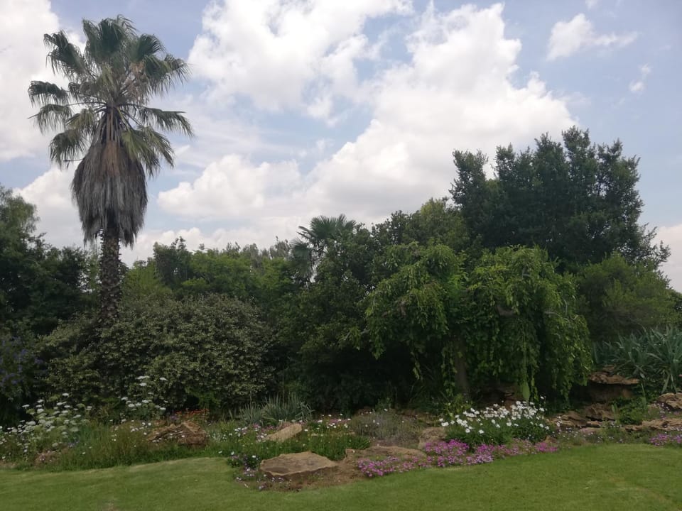 Natural landscape, Garden, Garden view
