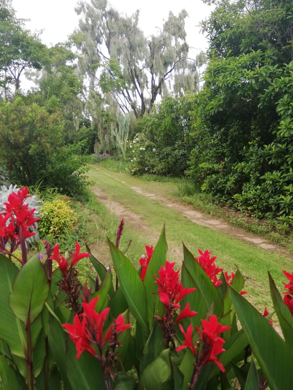Natural landscape, Garden