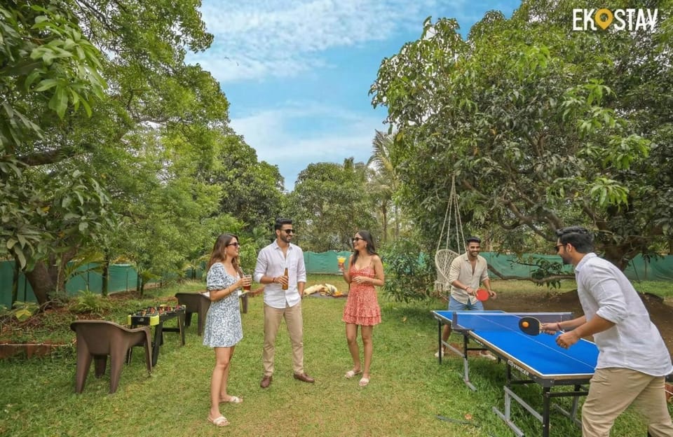Spring, Day, People, Garden, Table tennis, Evening entertainment, Garden view, group of guests