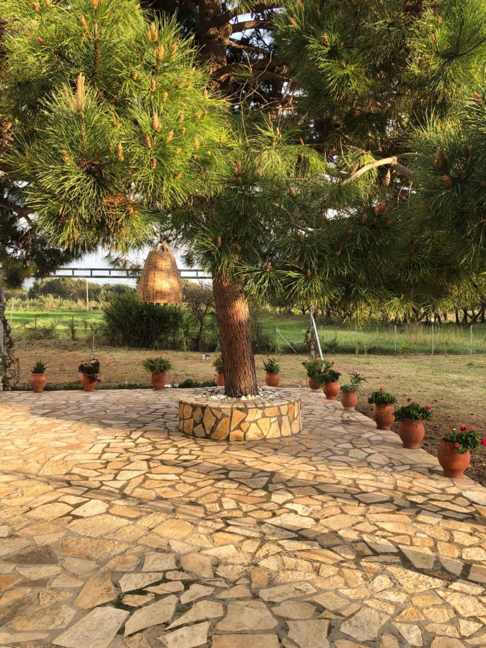 Seaside Retreat House Villa in Messenia