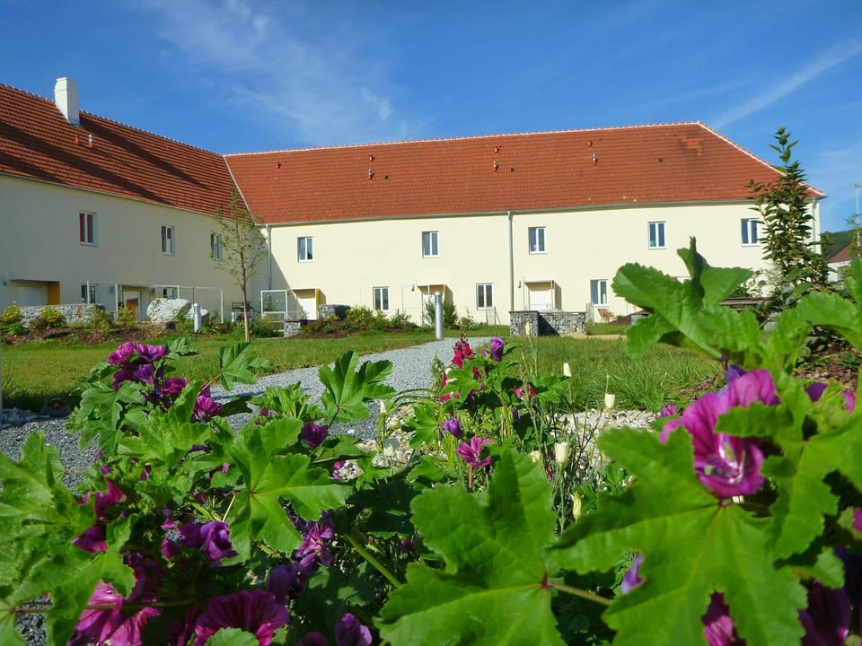 Property building, Garden view