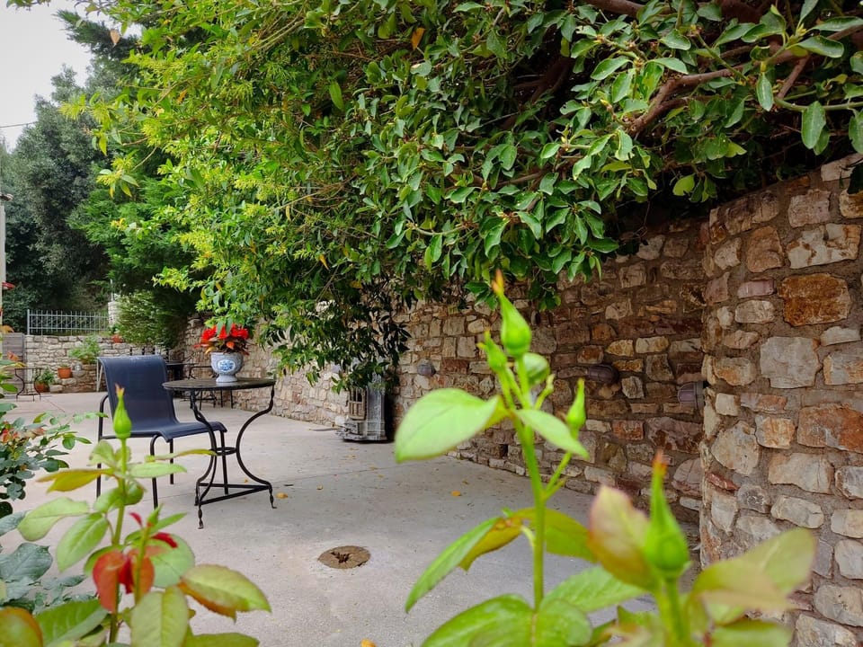 Garden, Garden view, Area and facilities, Area and facilities
