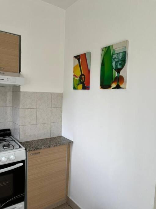 Hermoso departamento con parrillero. Zona Centro Apartment in Rosario