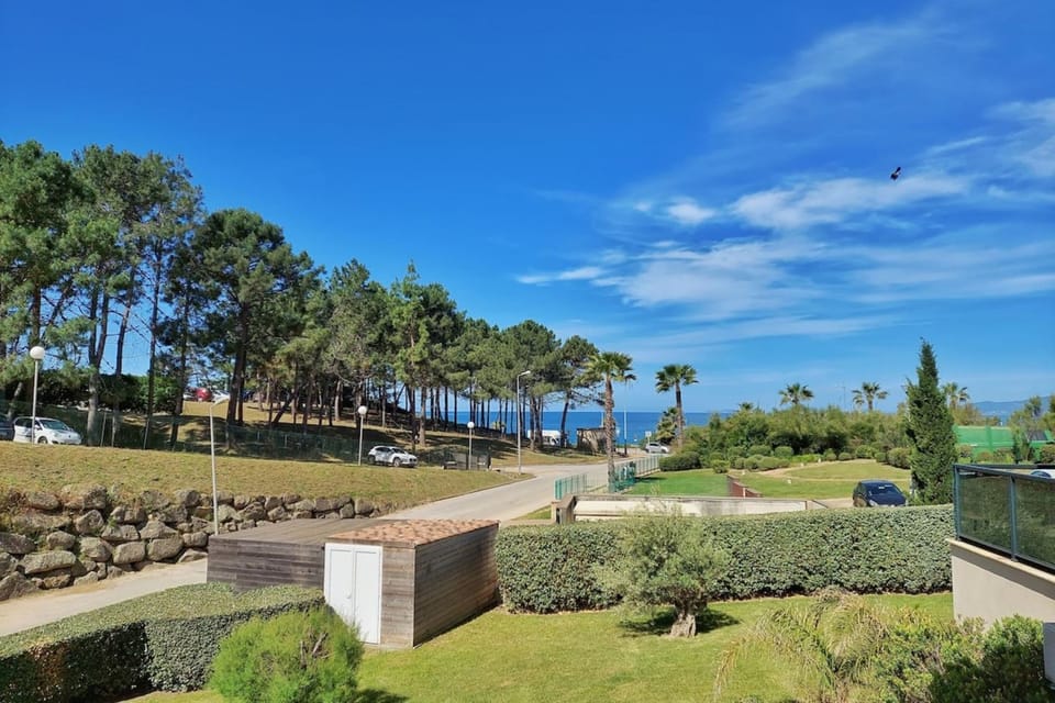 Natural landscape, Garden, Garden view