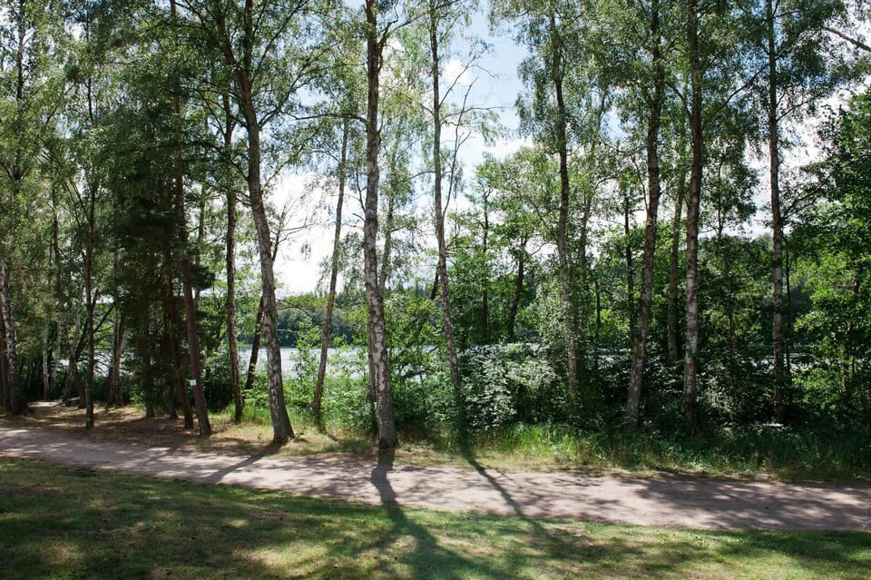 Natural landscape