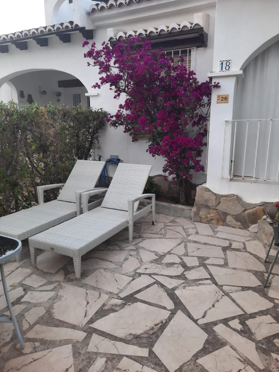 Garden, sunbed