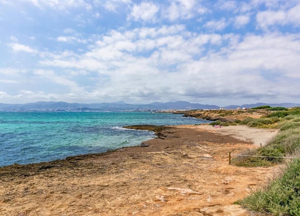 Natural landscape, Beach