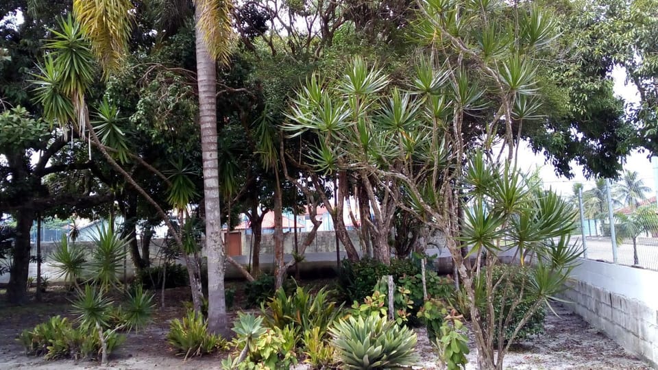 Natural landscape