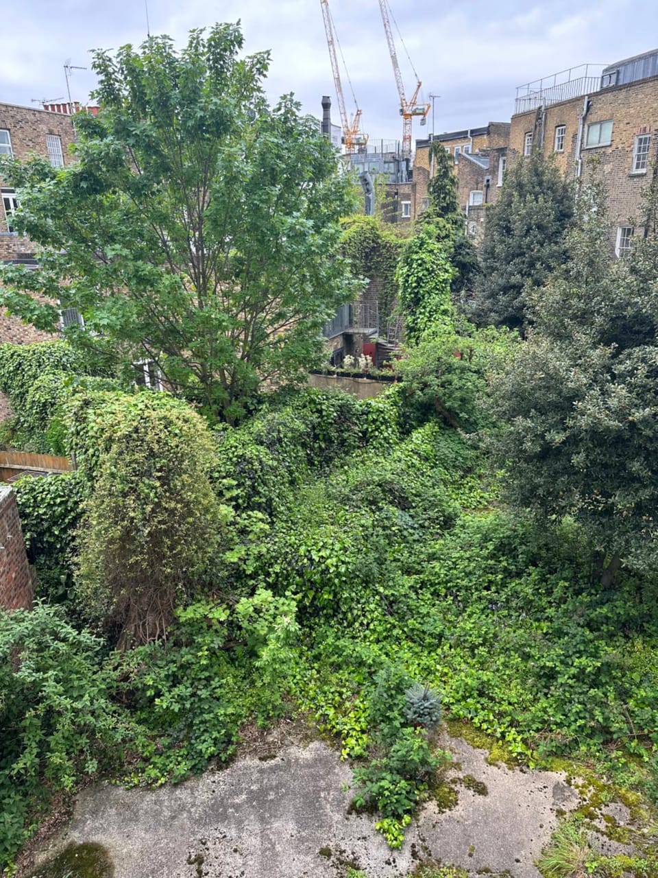 Camden Royale Apart Apartment in London Borough of Islington