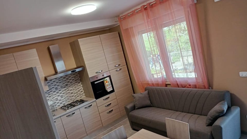 Kitchen or kitchenette, Living room