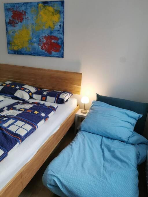 Family Appartment - Dachstein View Apartment in Salzburgerland