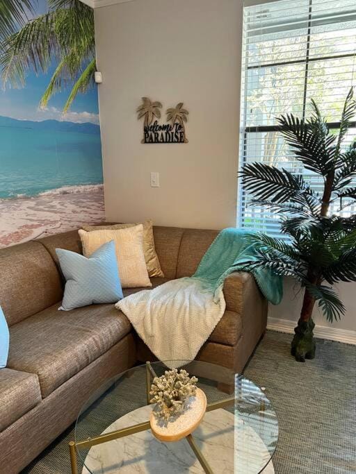 Island Breeze - 1BR - 1Bath - NRG - Pool - Gym - Sleep 4 Apartment in Houston