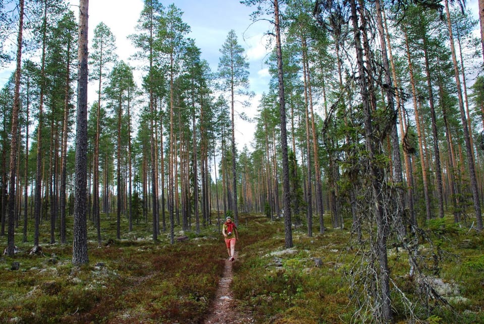 Natural landscape, Hiking