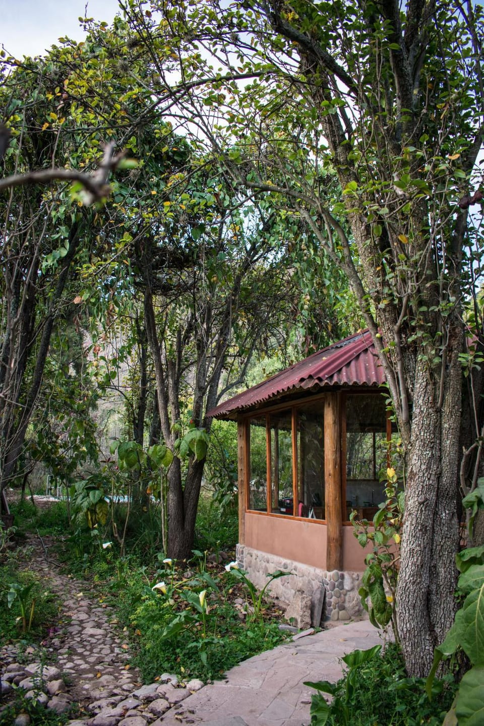 Garden view