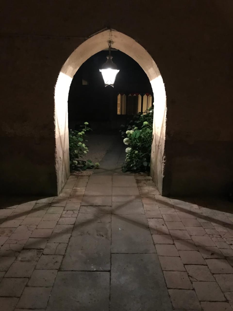Chateau de Vesset Bed and Breakfast in Auvergne-Rhône-Alpes