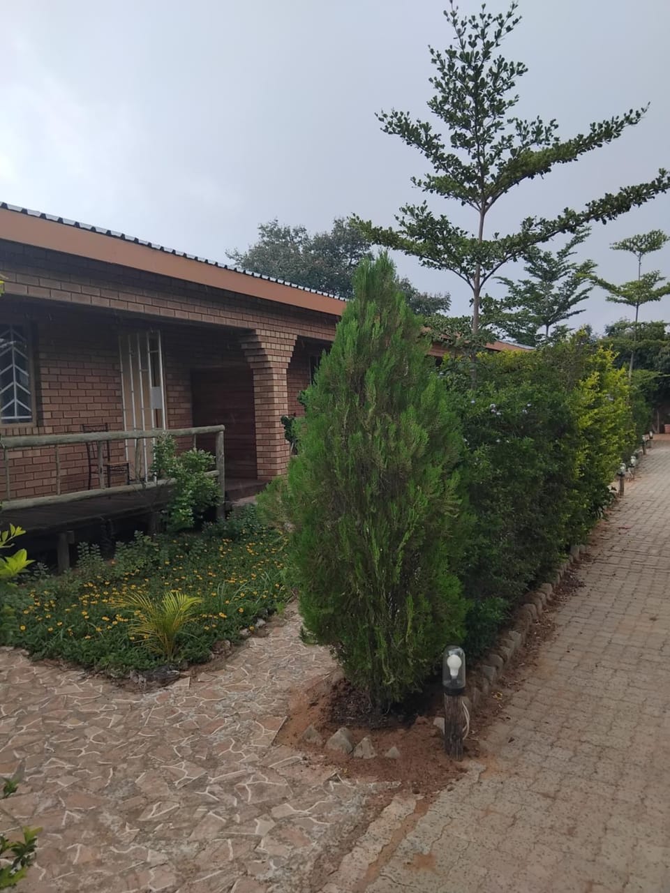 Sunshinevibe guest house Bed and Breakfast in Africa