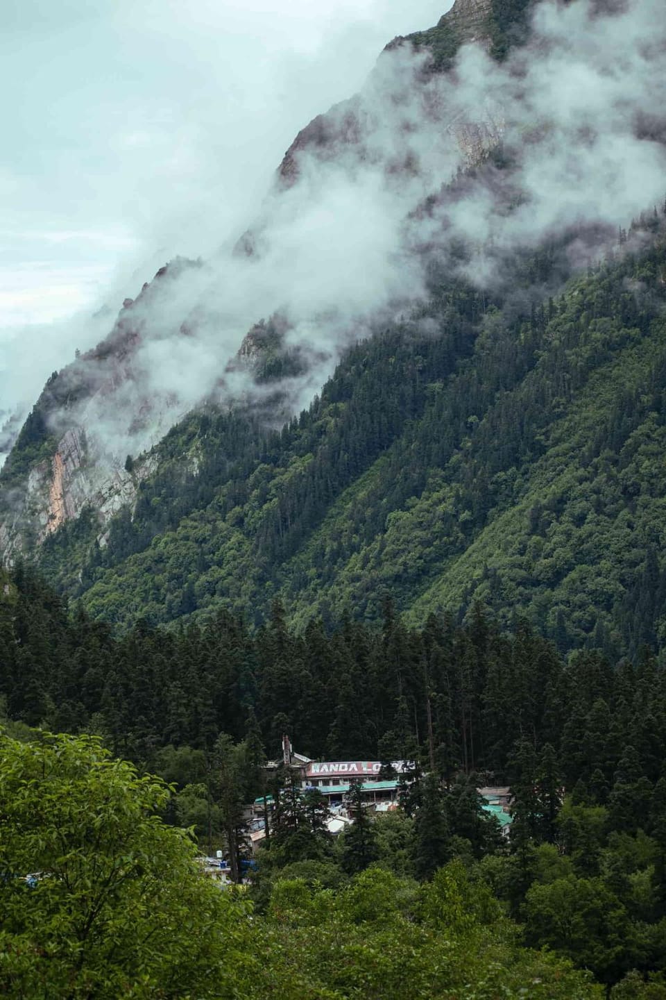 Odyssey Stays Ghangaria - 9Kms Trek from Pulna, Govindghat Bed and Breakfast in Uttarakhand