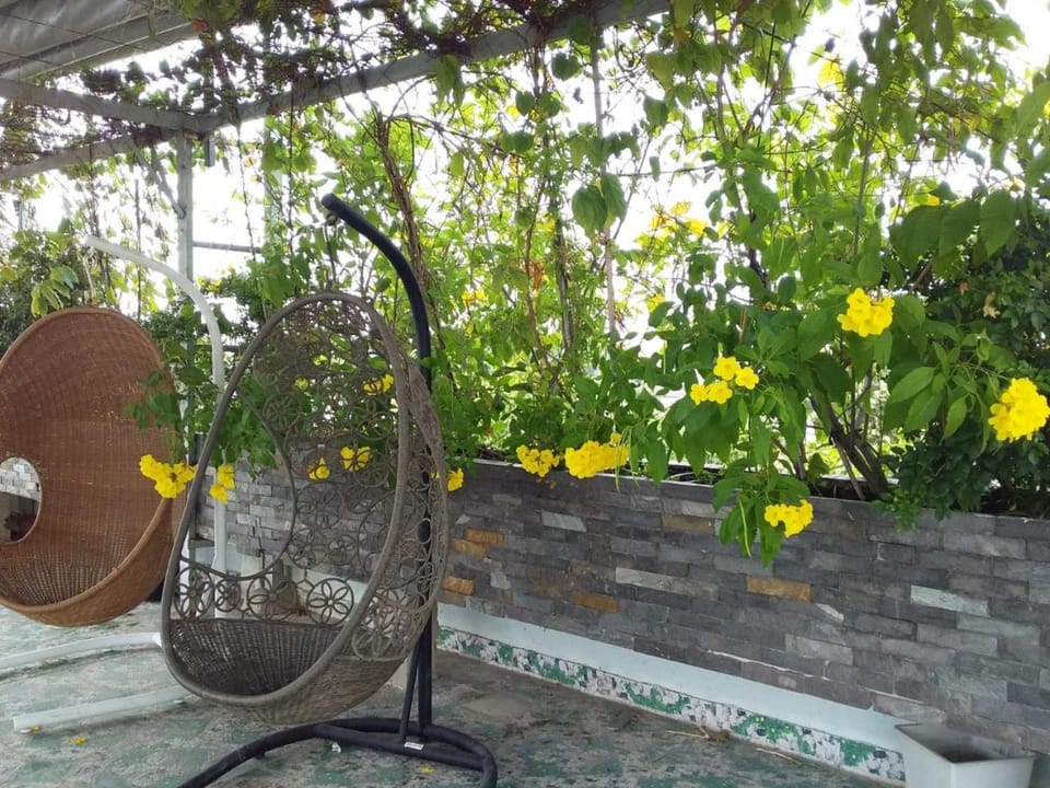 Patio, Balcony/Terrace