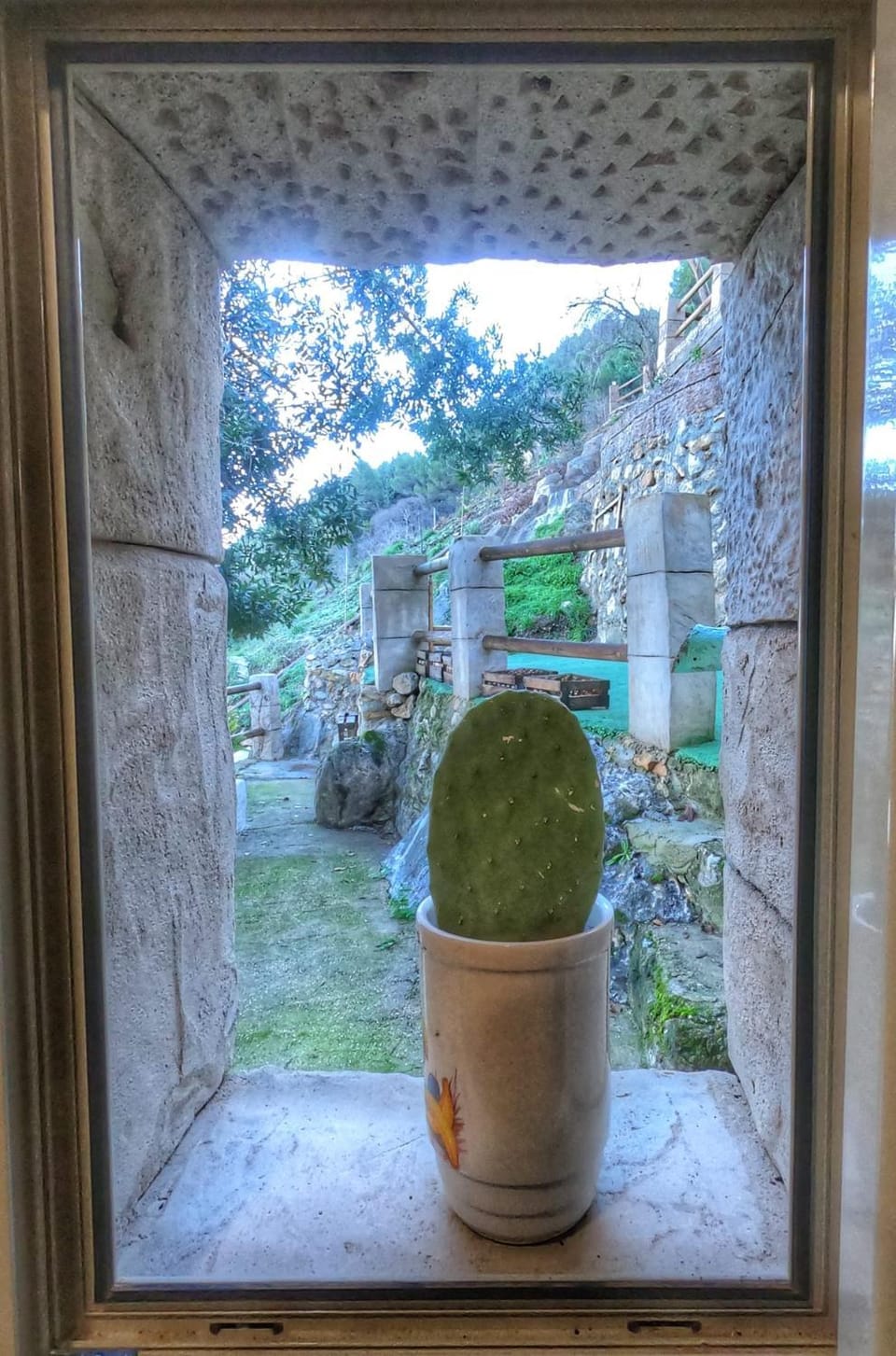 Garden view