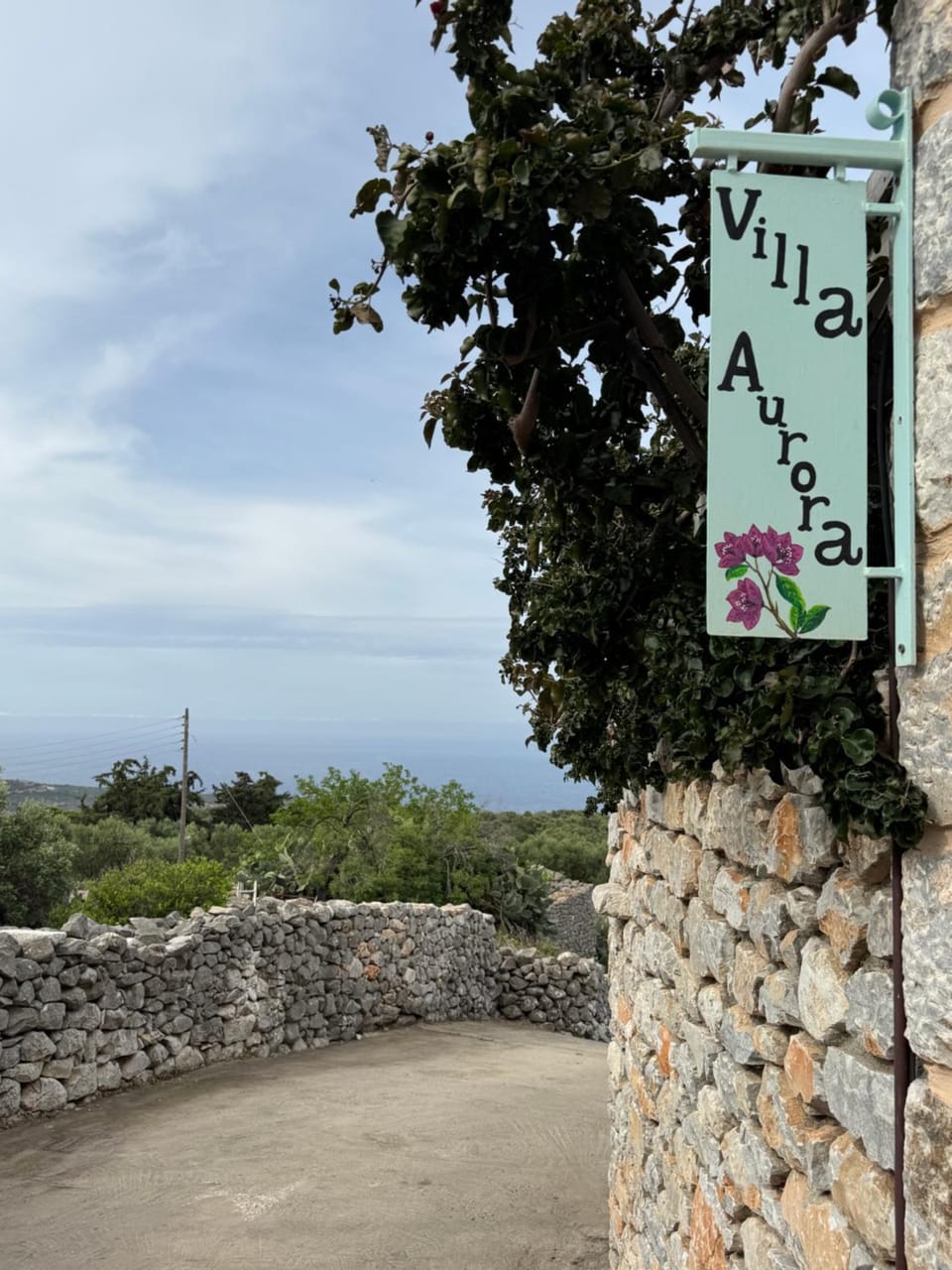 Logo/Certificate/Sign, Street view