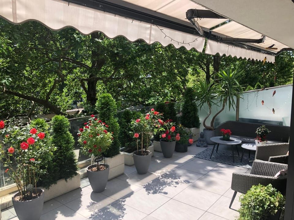 Balcony/Terrace, Balcony/Terrace